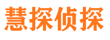 九里市侦探公司